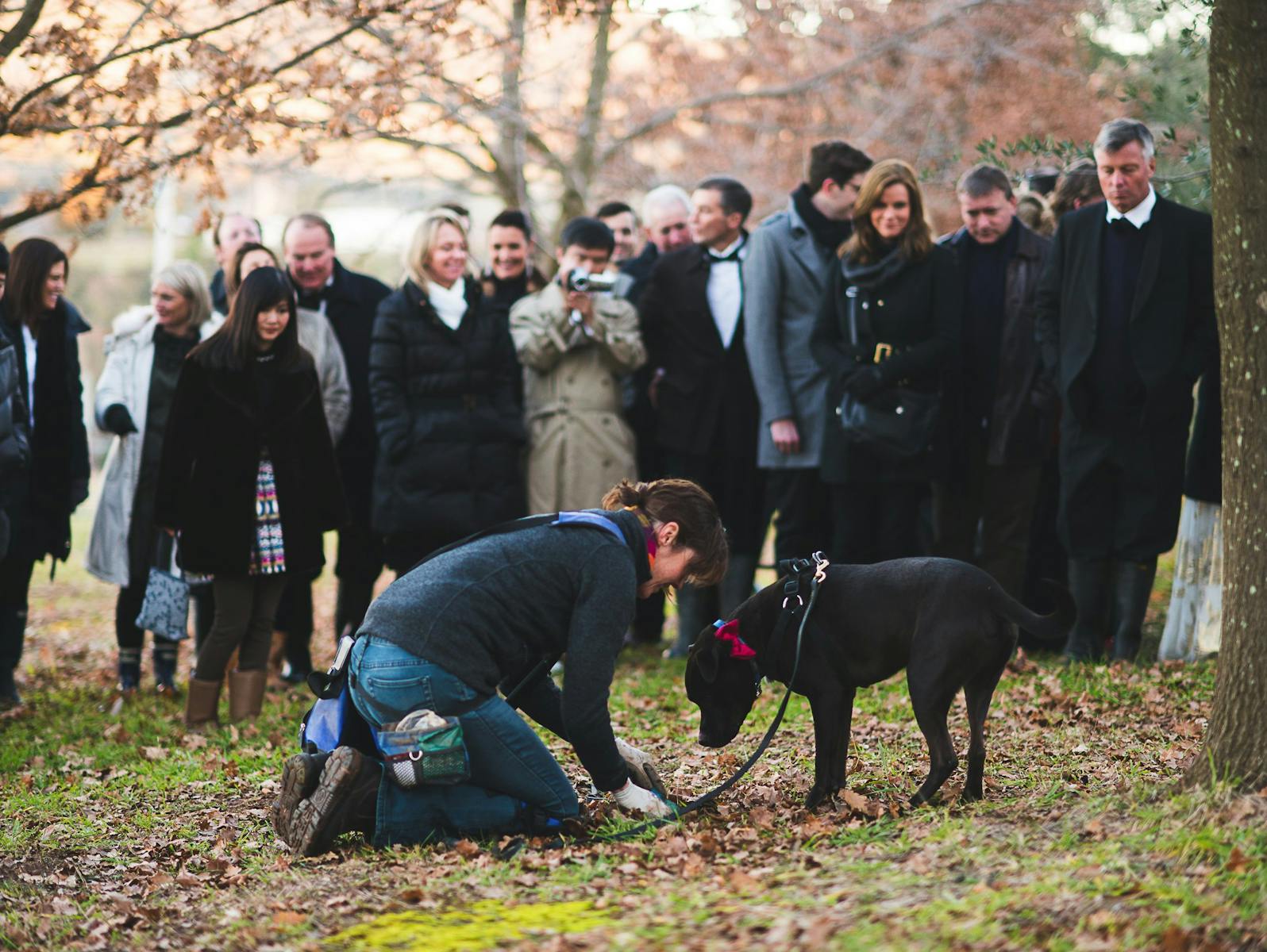 Image for Black Tie and Gumboot Truffle Hunt and Dinner