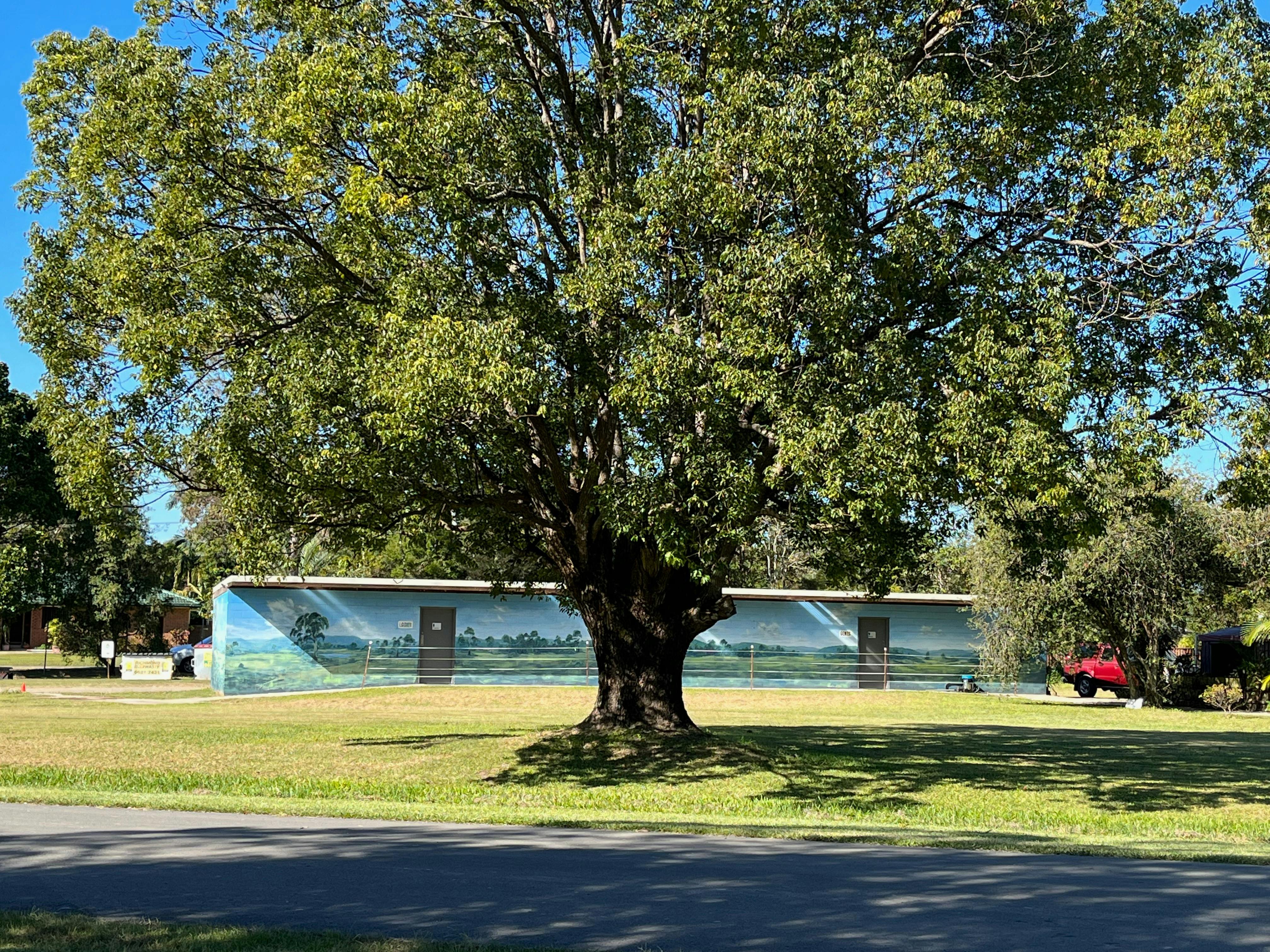 Shady tree in front of amenities block, showing lawn area