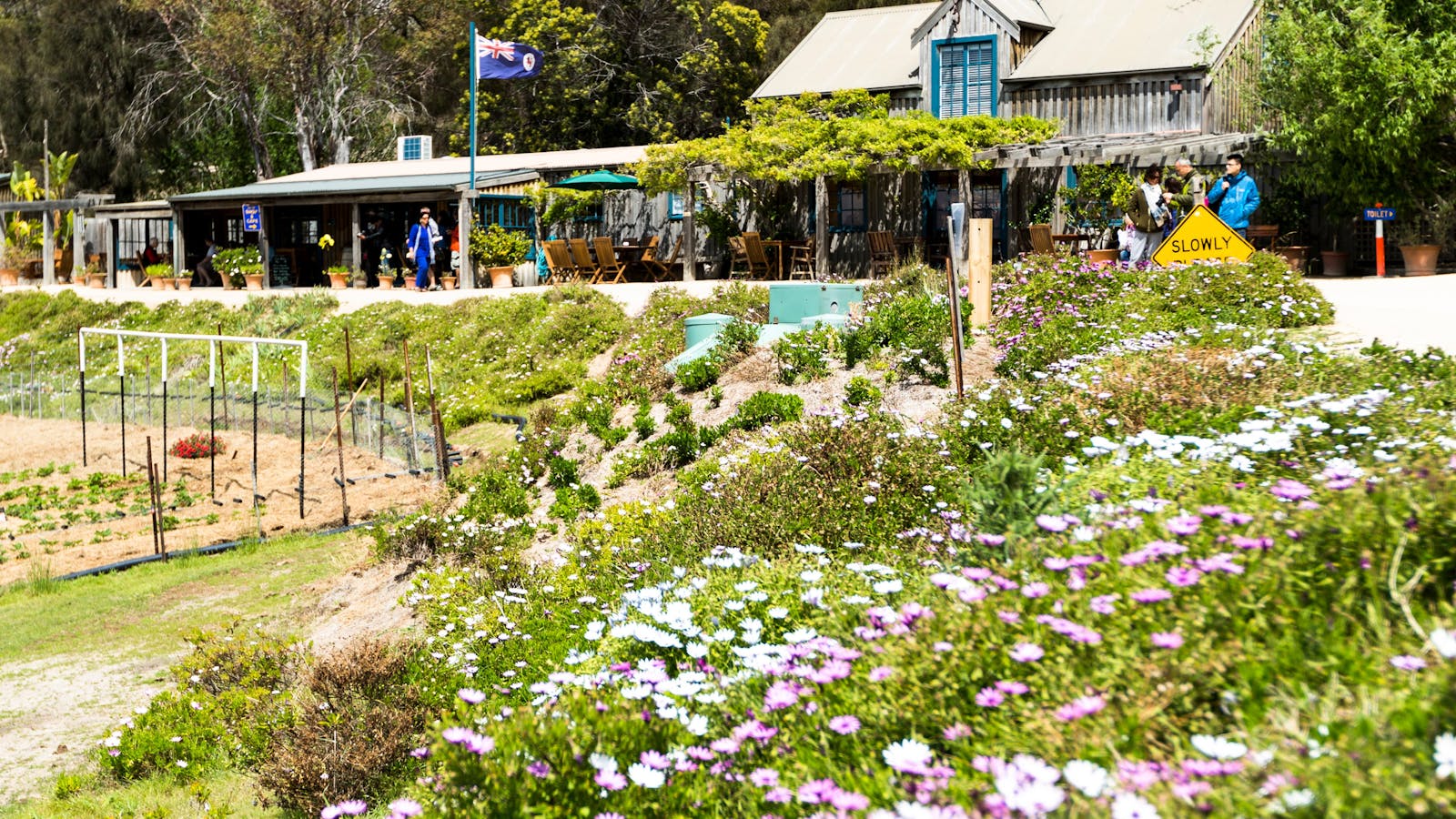 Kate's Berry Farm