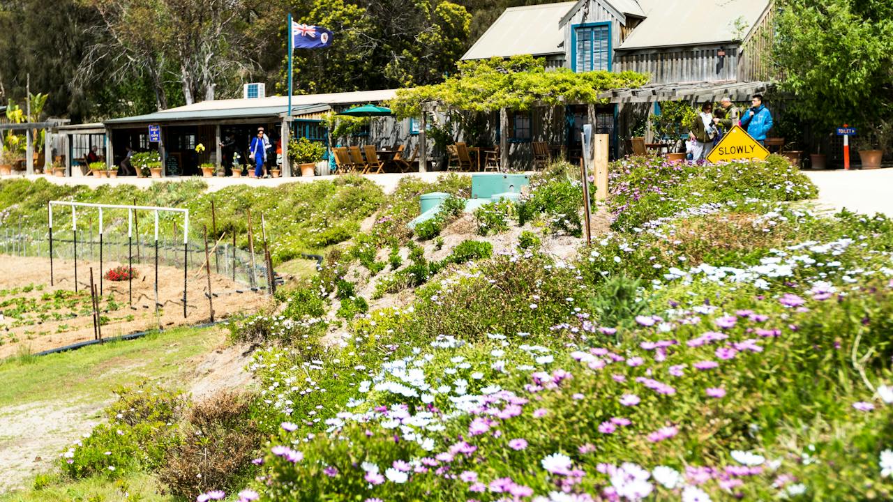 Kate's Berry Farm