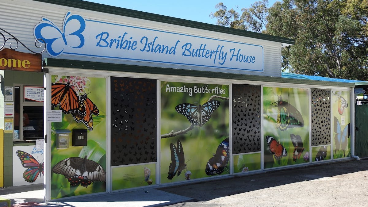 Main entrance to the Bribie Butterfly House - you can't miss it!