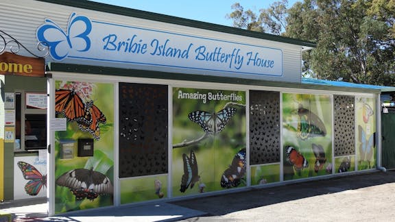 Bribie Island Butterfly House