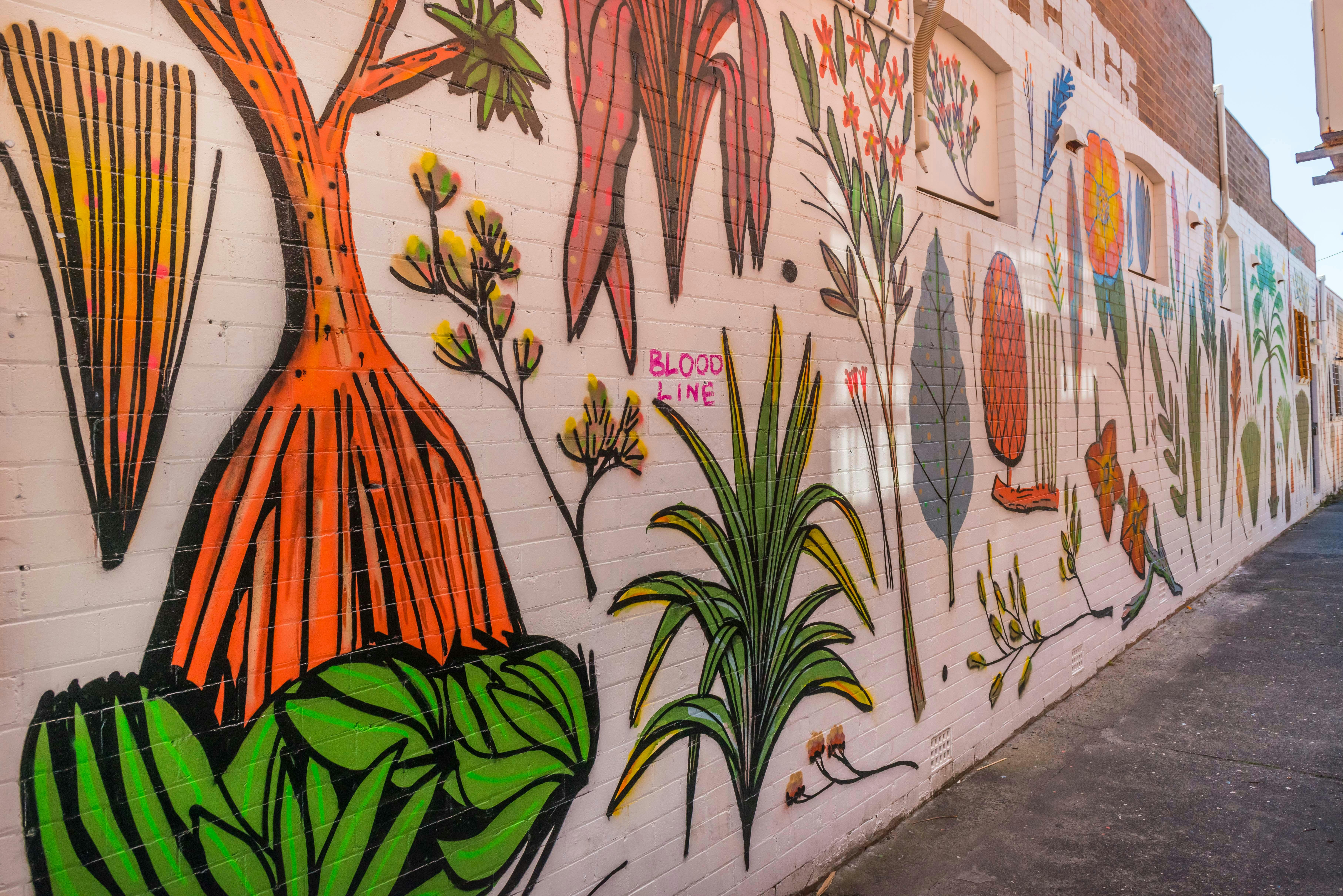 Ballina Public Art - Ballinas Küstenflora