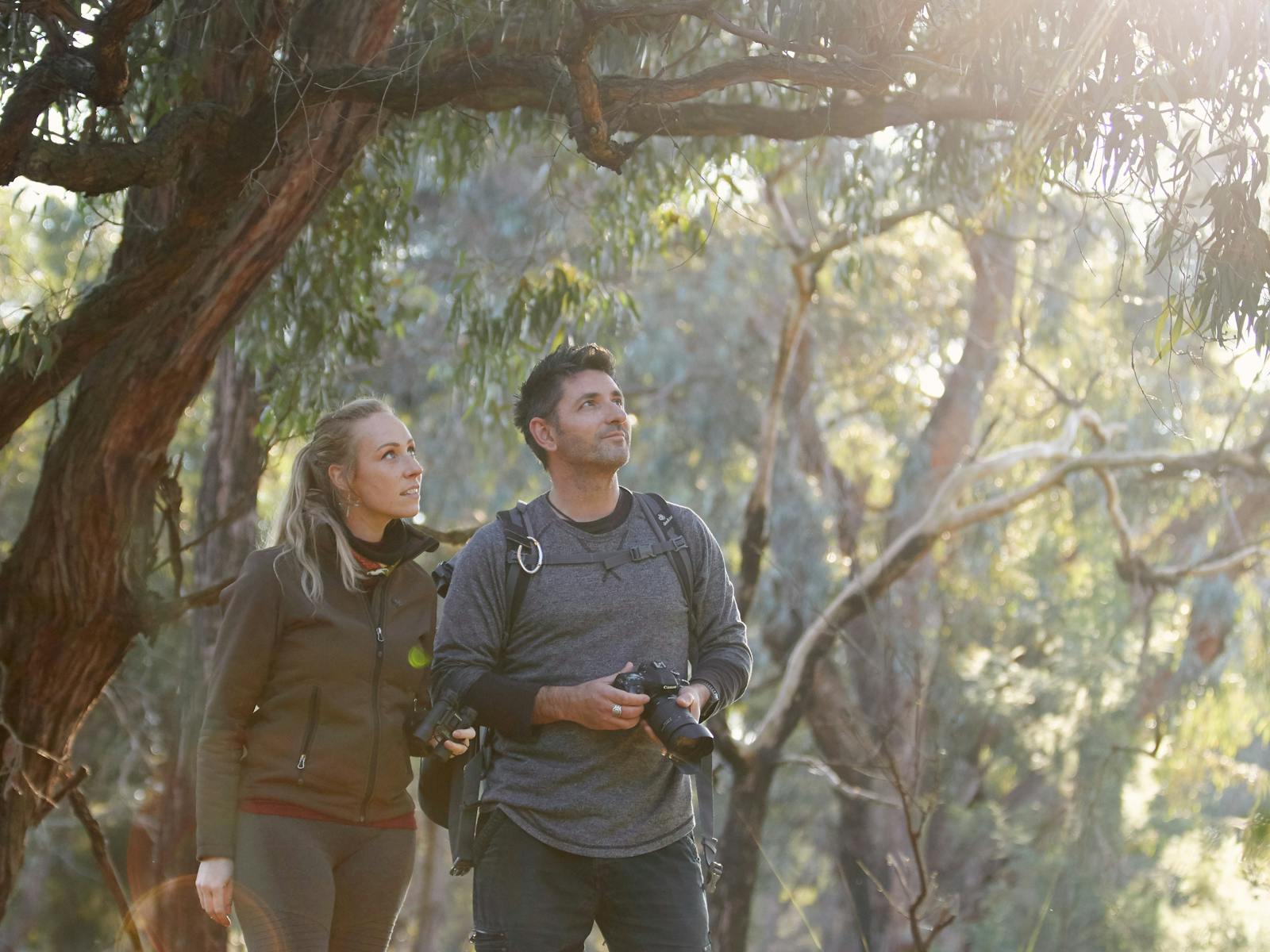 Image for Trees in the Australian Garden