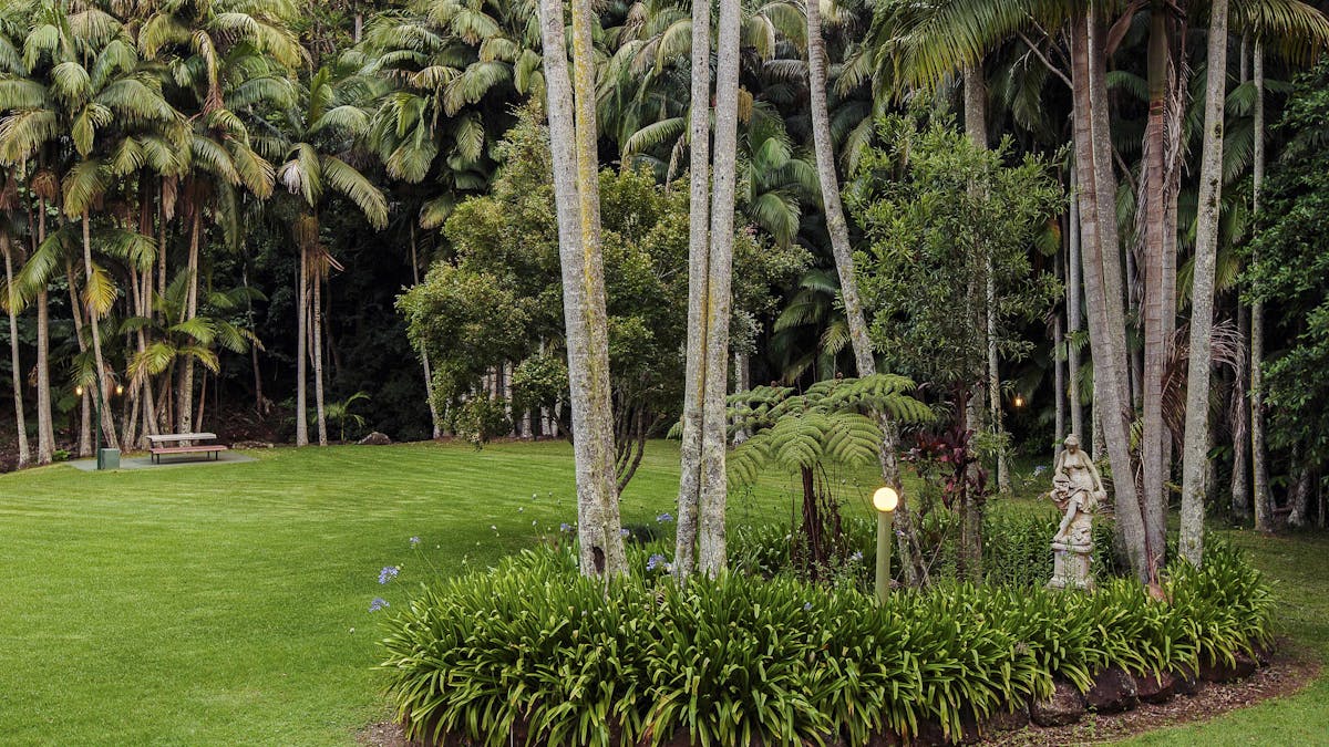 Rear Gardens