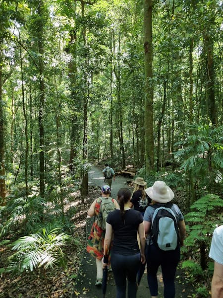 Dorrigo rainforest ranger-guided tour Dorrigo National Park