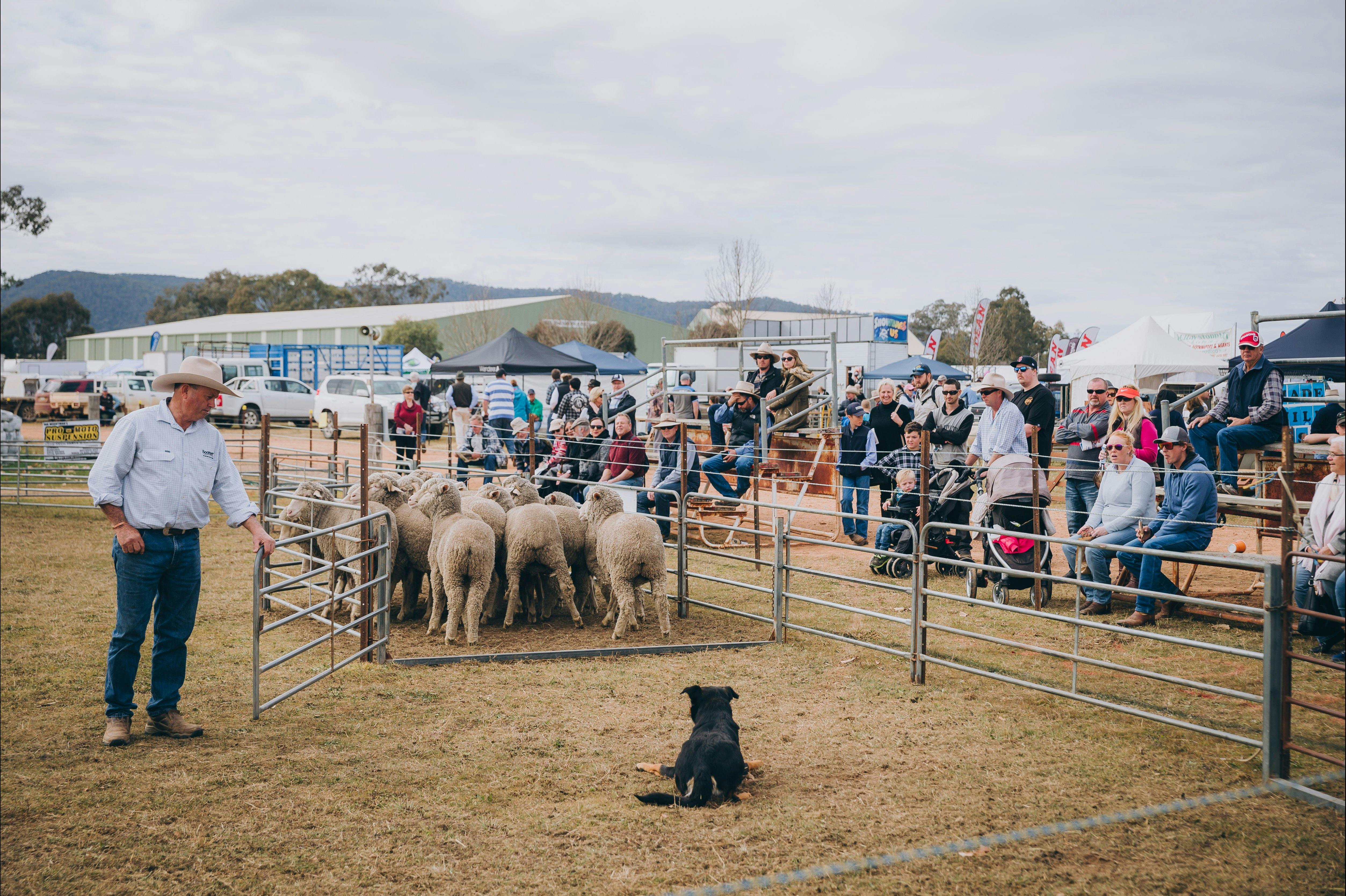 Mudgee Small Farm Field Days