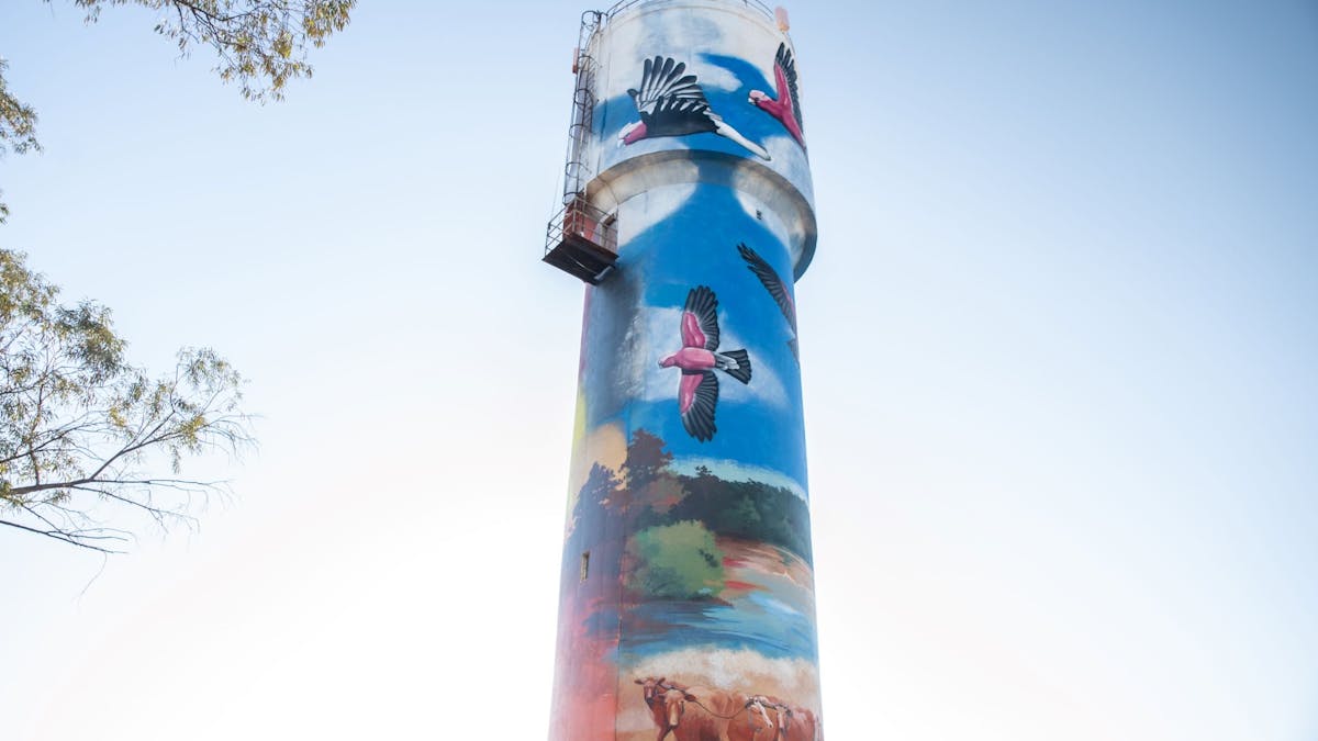 Stunning Augathella Water Tower Mural that represents the township Stunning Augathella Water Tower Mural that represents the township