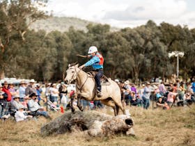 The Man From Snowy River Bush Festival Cover Image