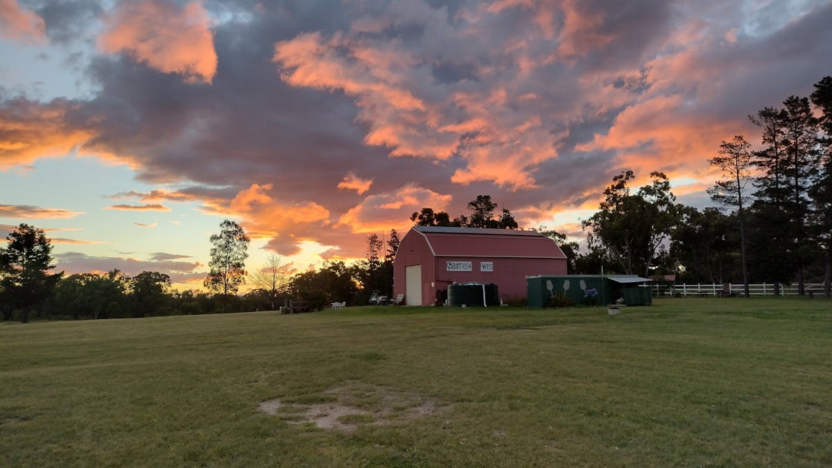 Evening sunset