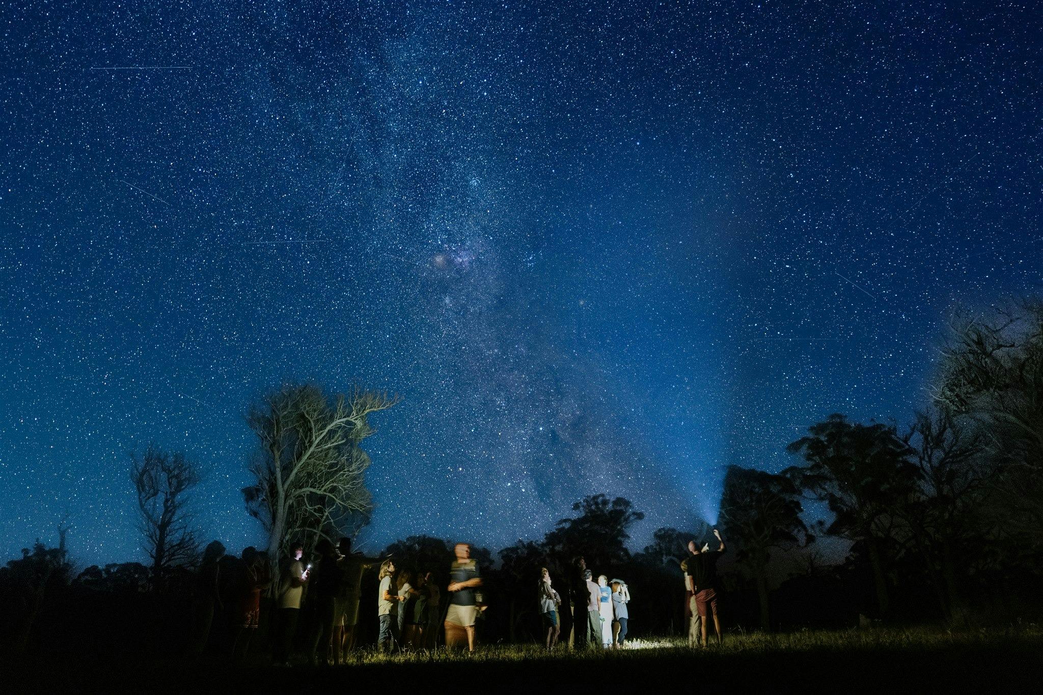 stargazing in the Scribbly Farm Paddocks