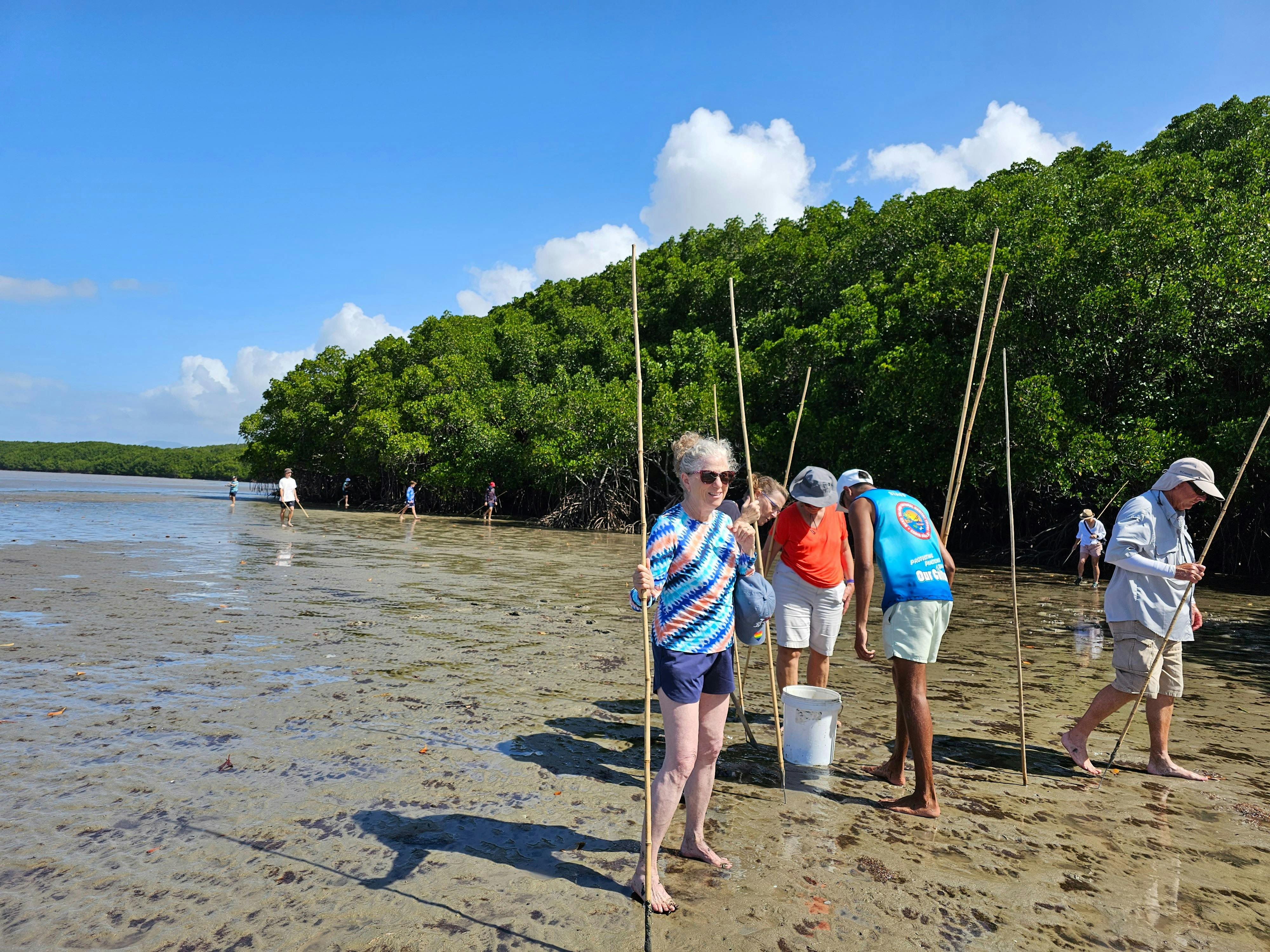 Mangrove and Mudflat Walk