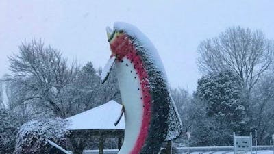 The Big Trout Snow 2016