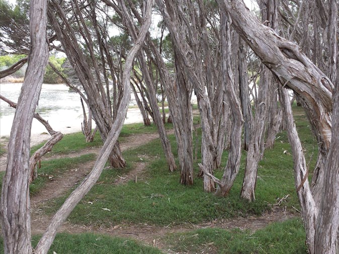 Kangaroo Island Four Day Tour