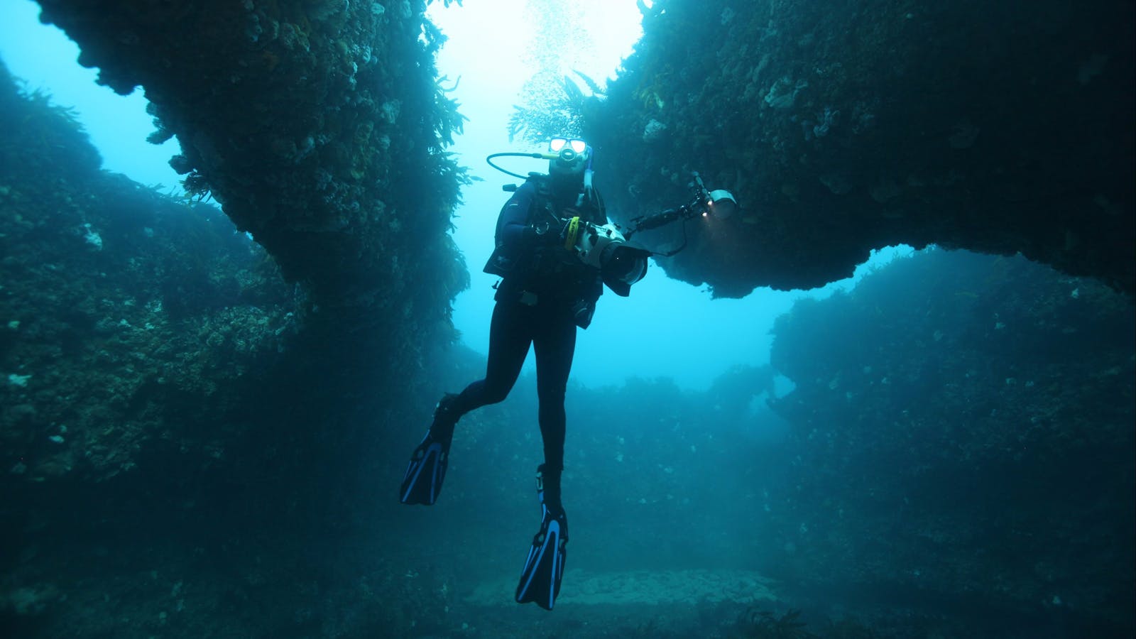 The Arches Marine Sanctuary