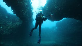 The Arches Marine Sanctuary