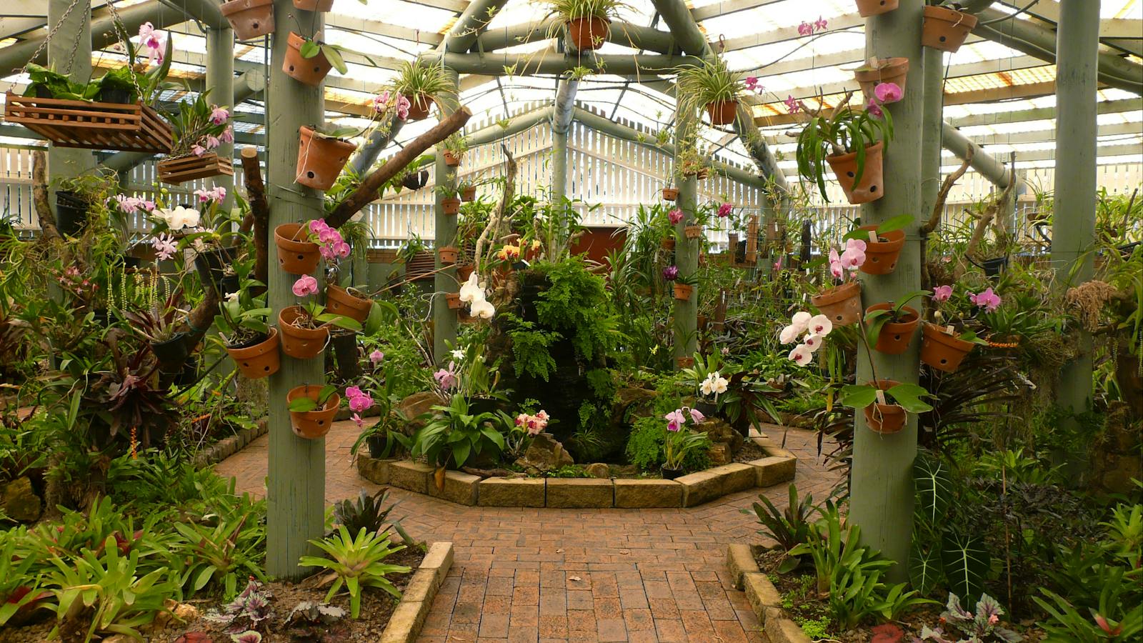Orchid House