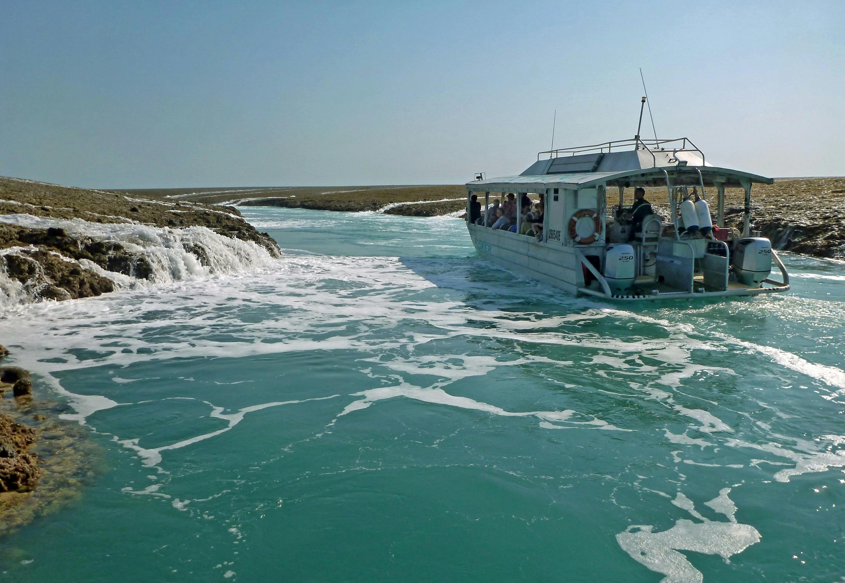 Coral Expeditions The Kimberley Cruise Montgomery Reef Xplorer vessel