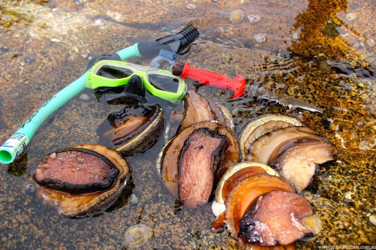 Hunt and Gather Seafood Experience - Day Tour