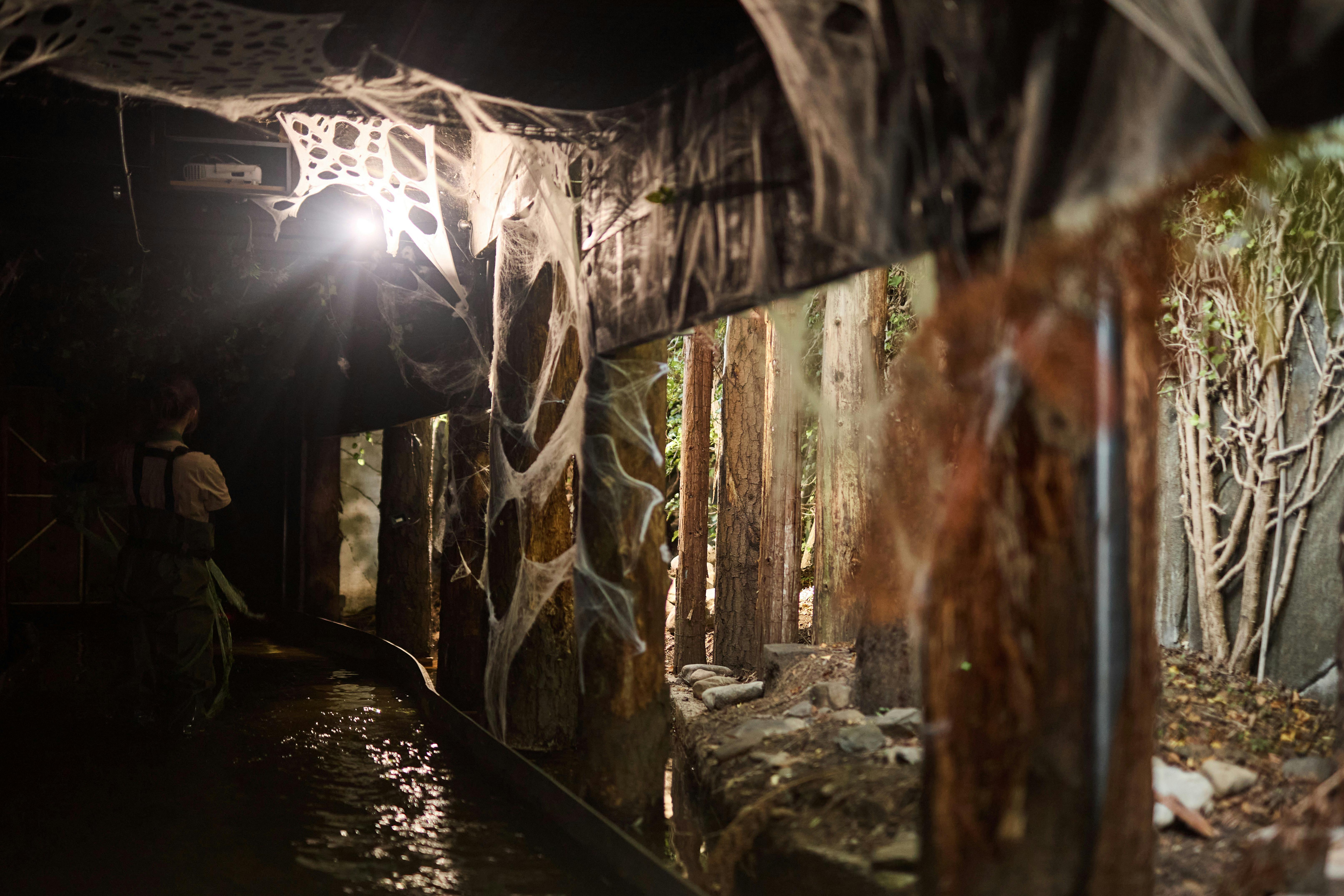Halloween Dark Ride