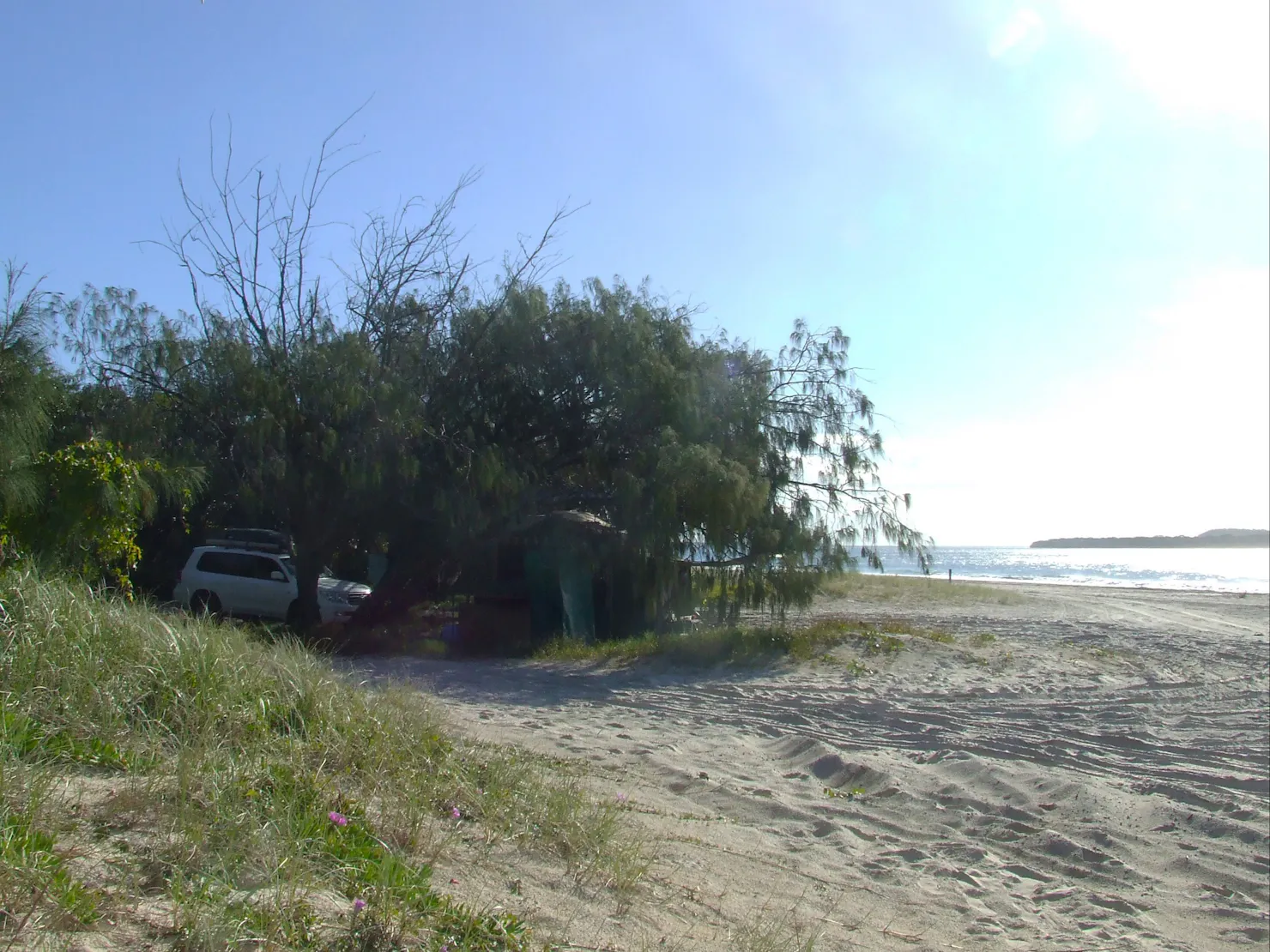 Beachside vehicle-based camping at Inskip