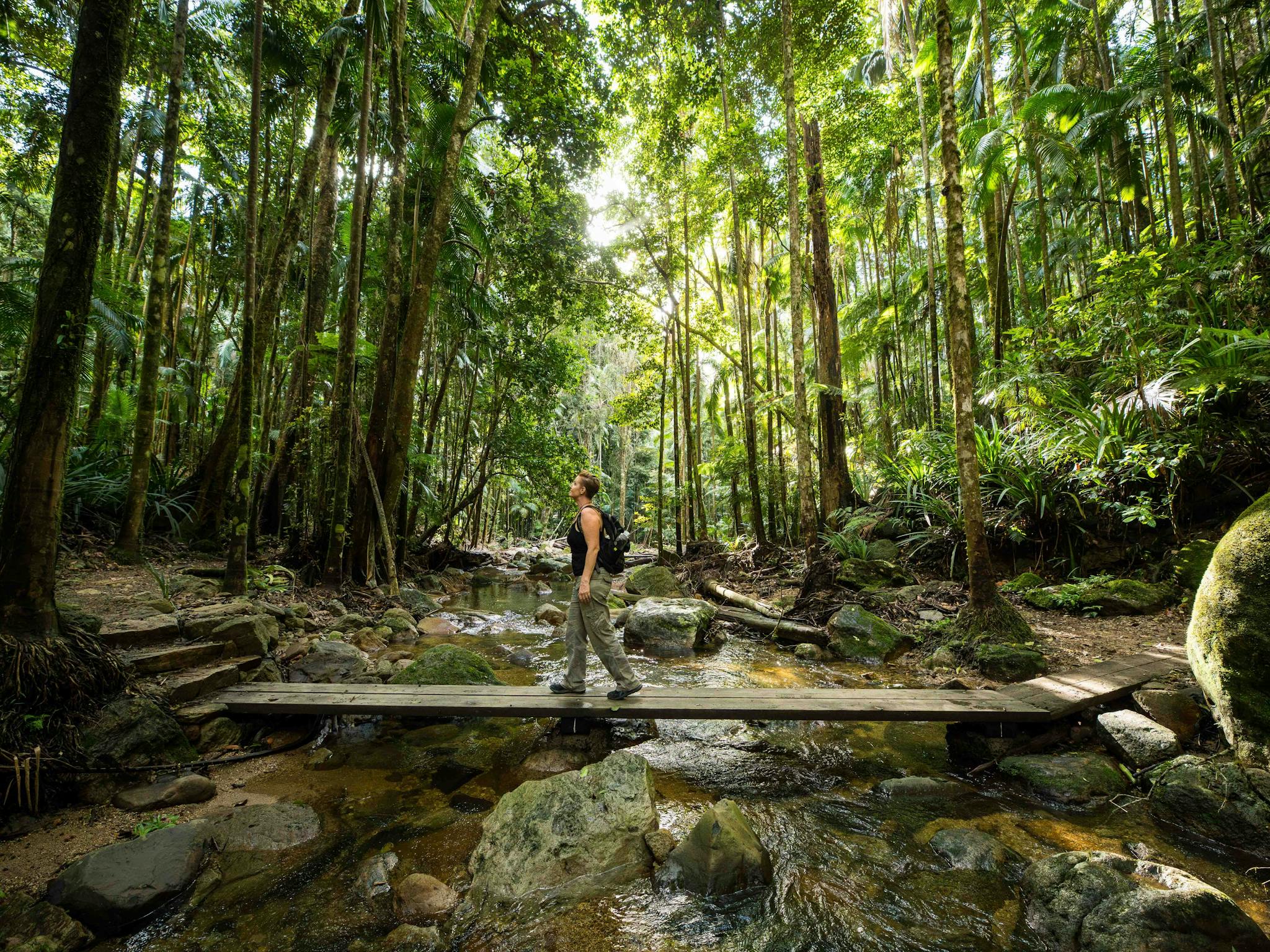 Hiker walking through the incredible Nightcap National Park
