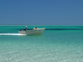 Farm Beach Eyre Peninsula SA