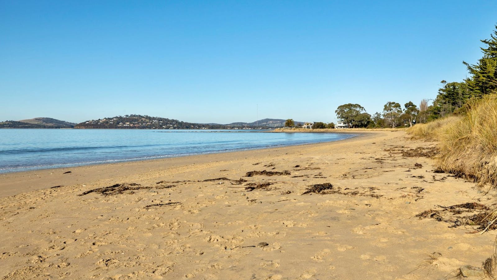 House directly across the road from the beach.