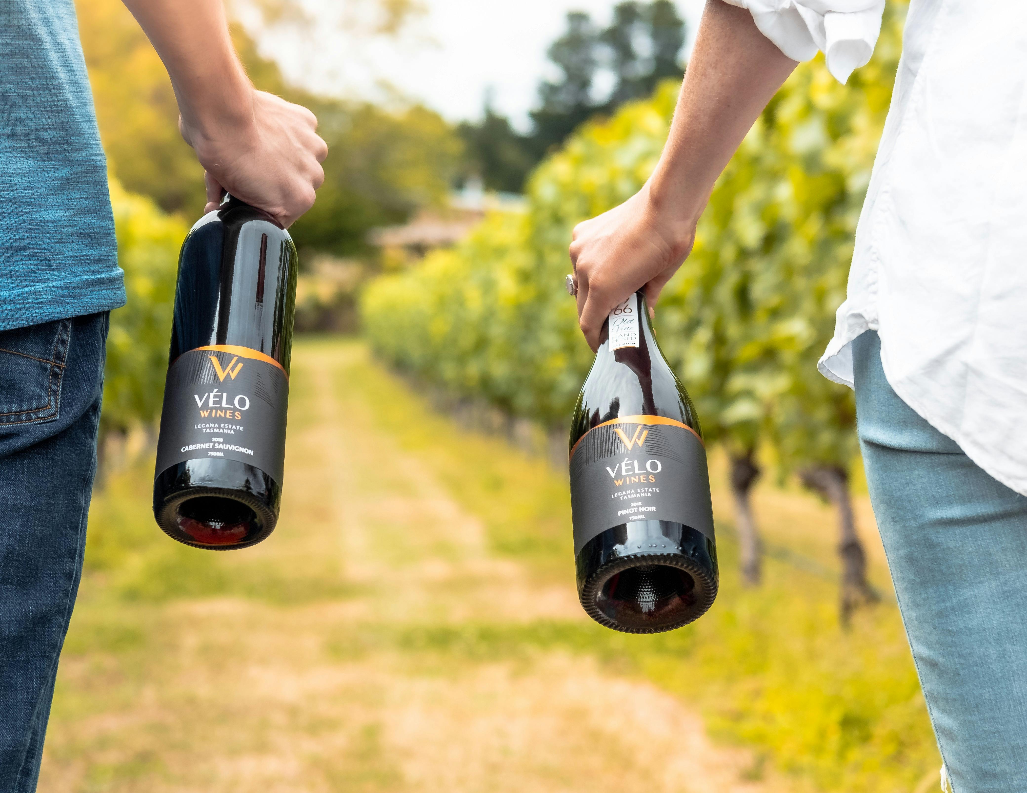 2018 Cabernet Sauvignon  and 2018 Premium Pinot Noir