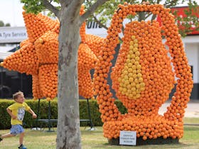 Citrus sculpture fun