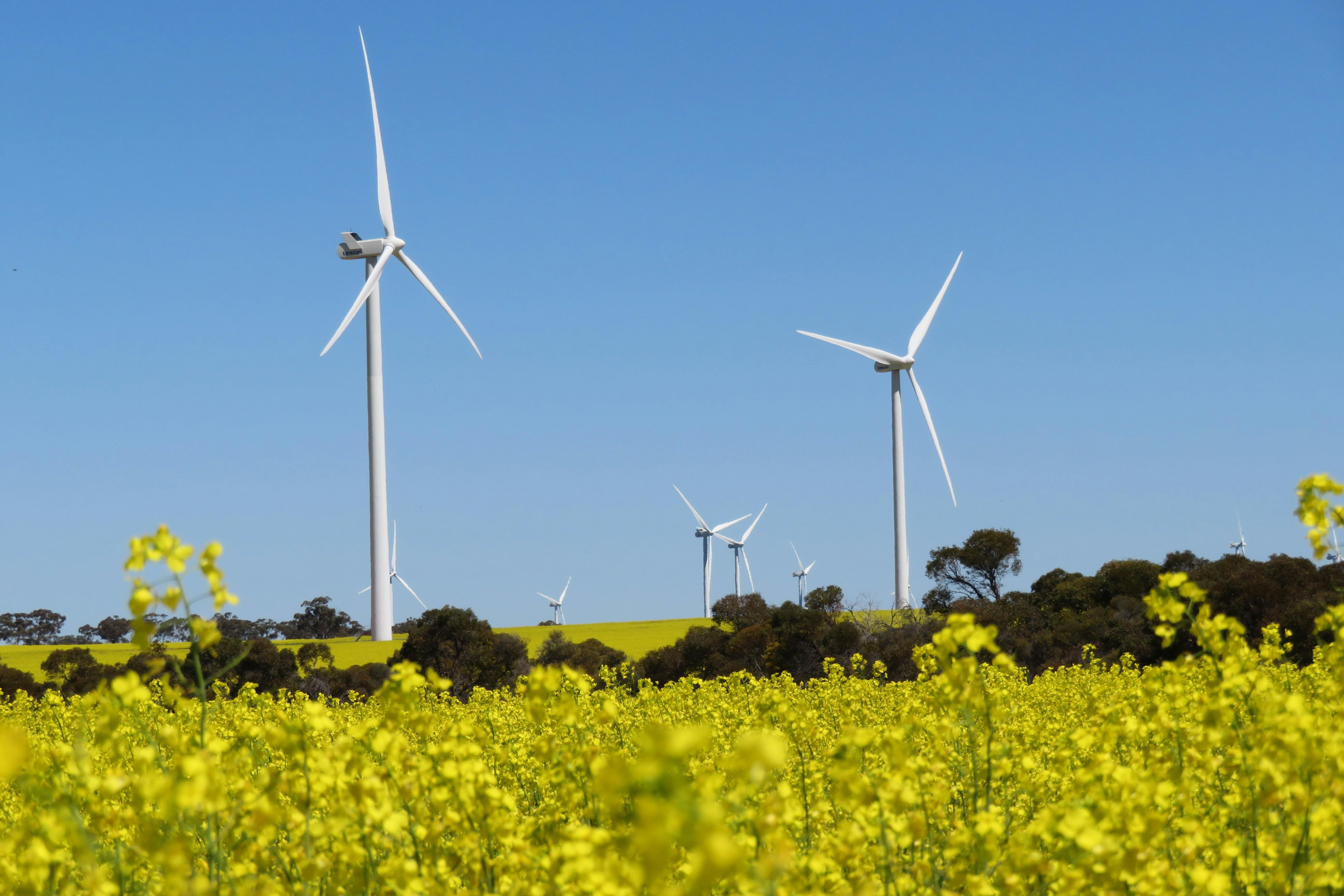 Collgar Wind Farm Merredin