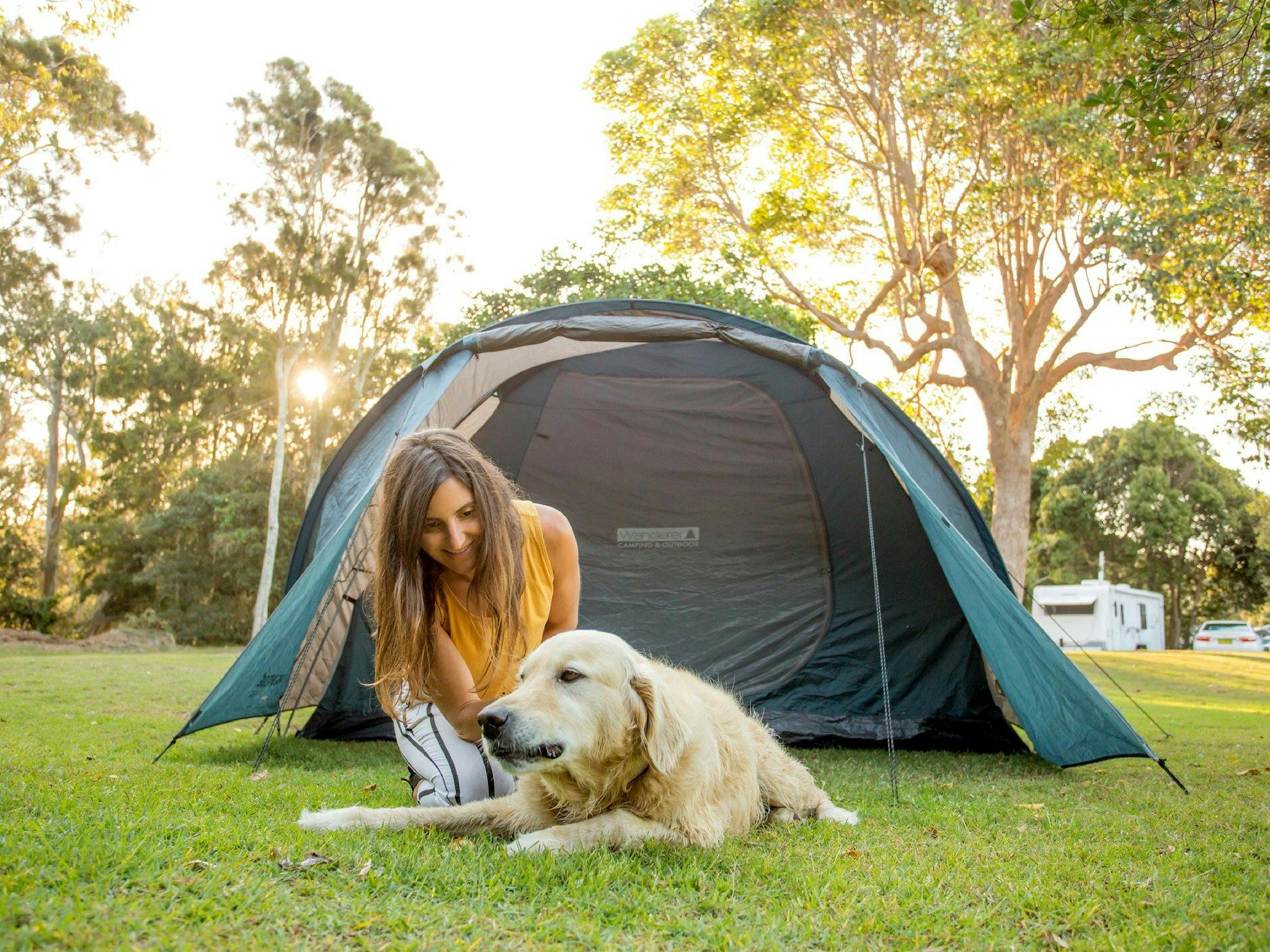 애완 동물 친화적