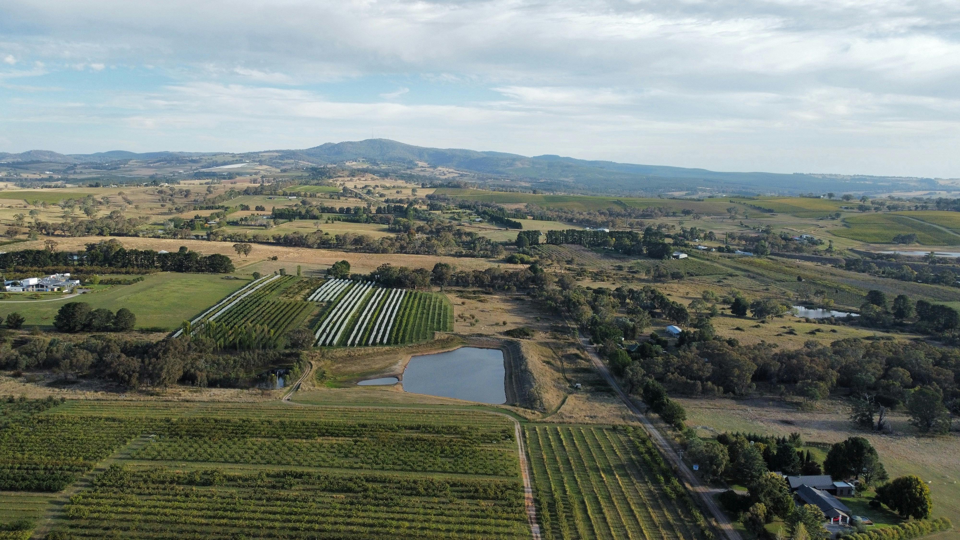 Drone shot of orchard and Mt Canobolas