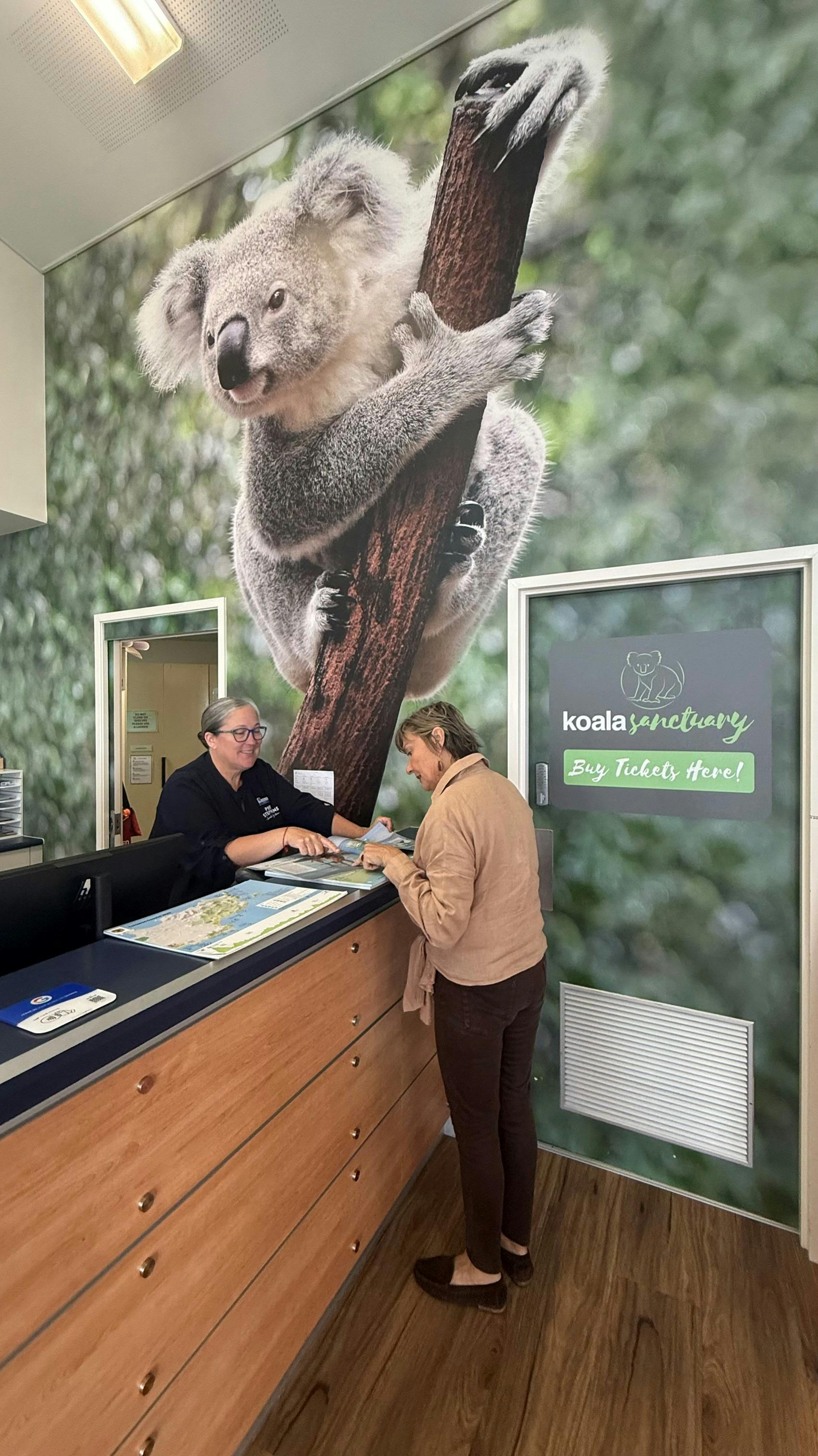Visitor Experience