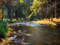 Ovens River located within the township of Bright on the popular Canyon Walk