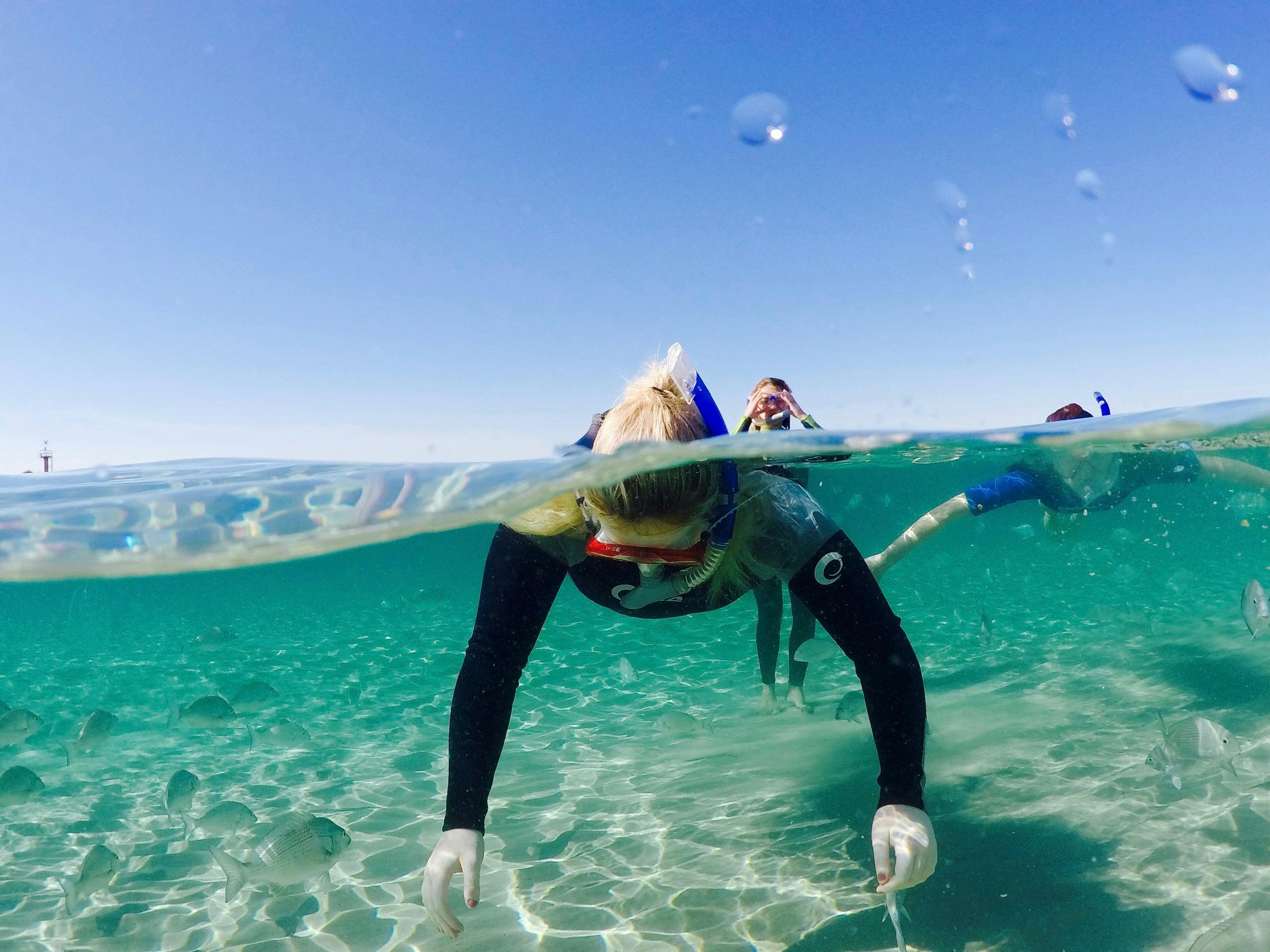 Broadwater Dolphin Kayaking & Snorkeling Tour