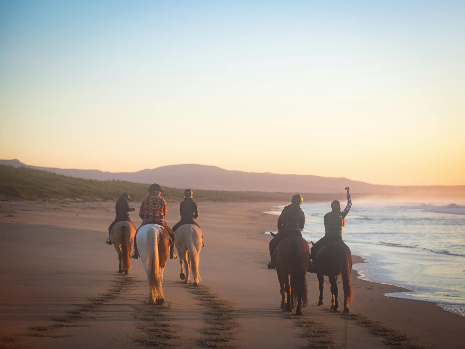 A Regal Riding School trail ride at Shoalhaven Heads.