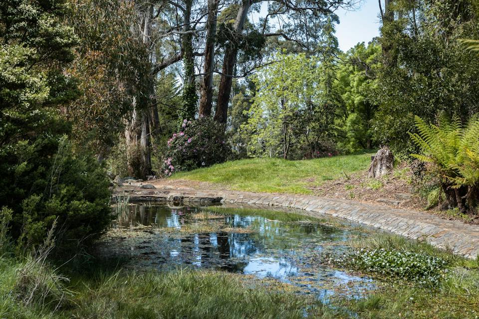 Miandetta Park, Devonport photo