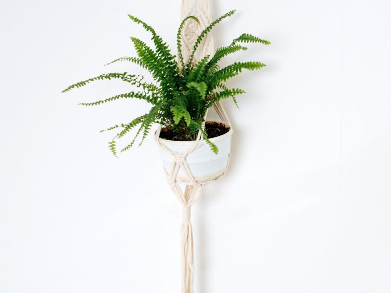 Image for Sip & Create; Macrame Pot Holder Making Workshop