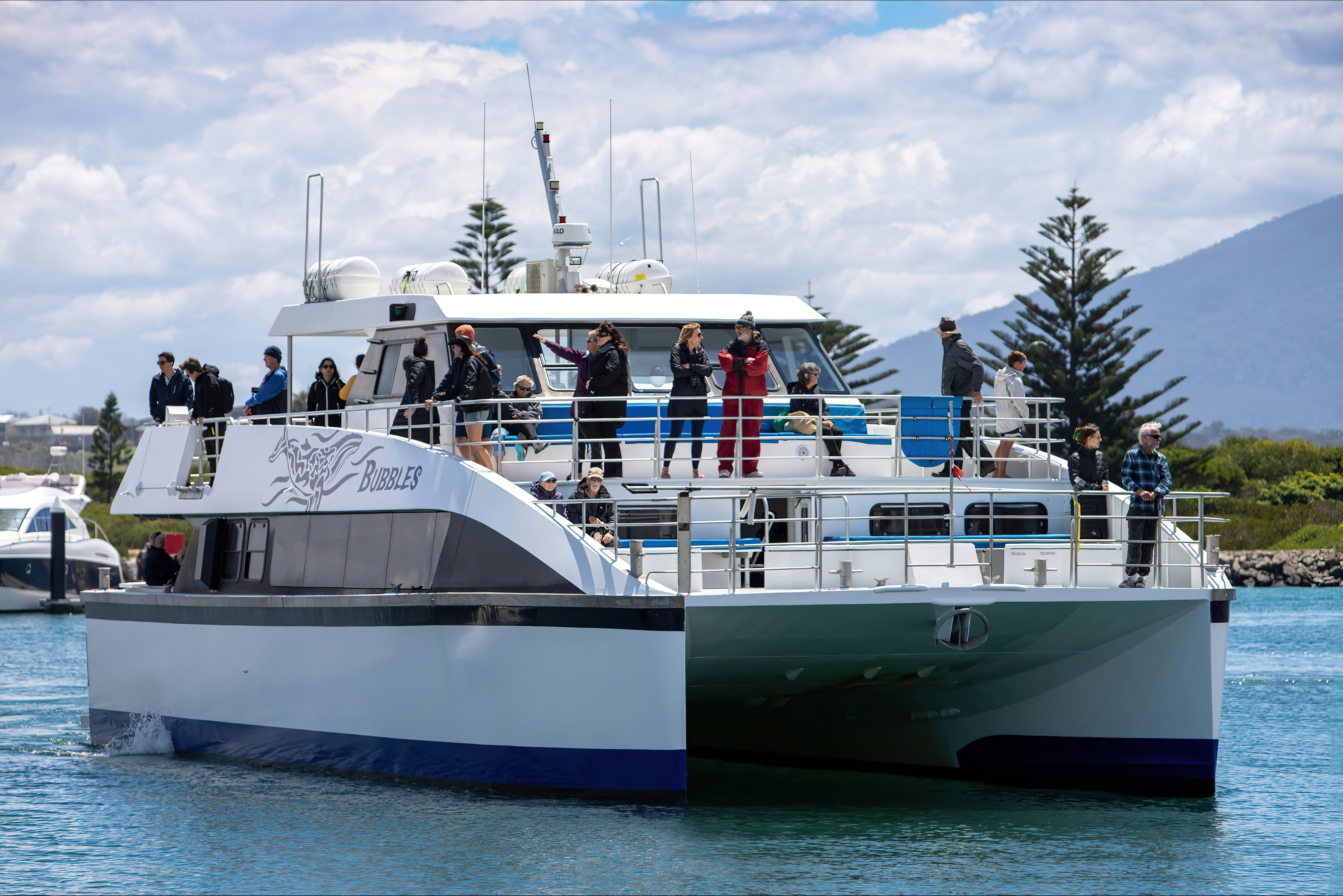Our Whale Watching boat, Bubbles in Bermagui Harbour, Sapphire Coastal Adventures