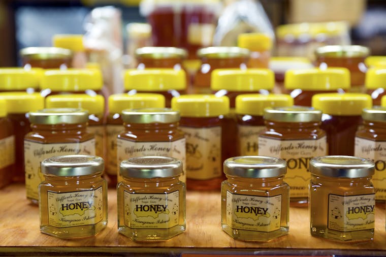 A Taste of Cliffords Honey Farm