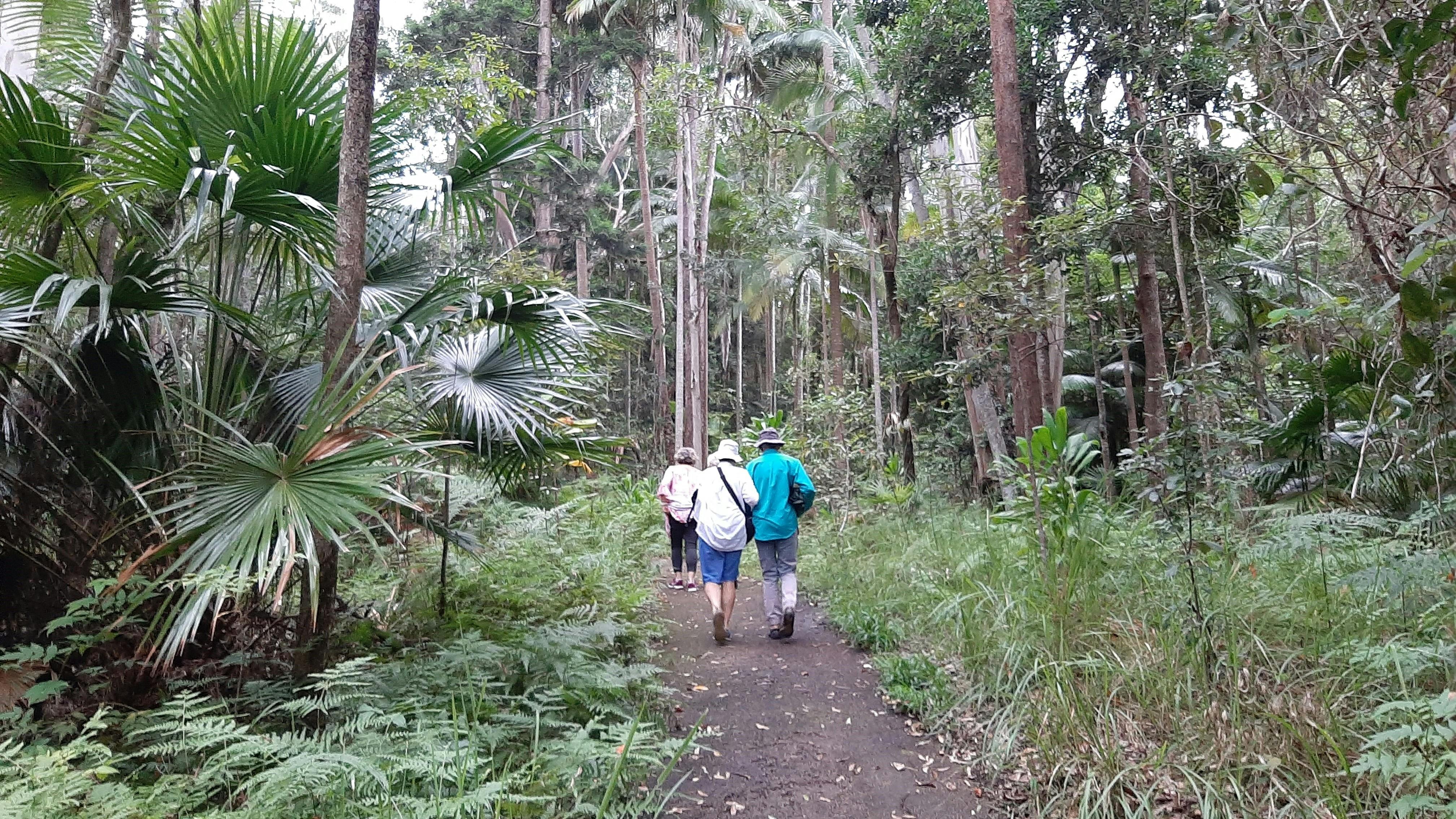 Forest bathing at Foote Sanctuary