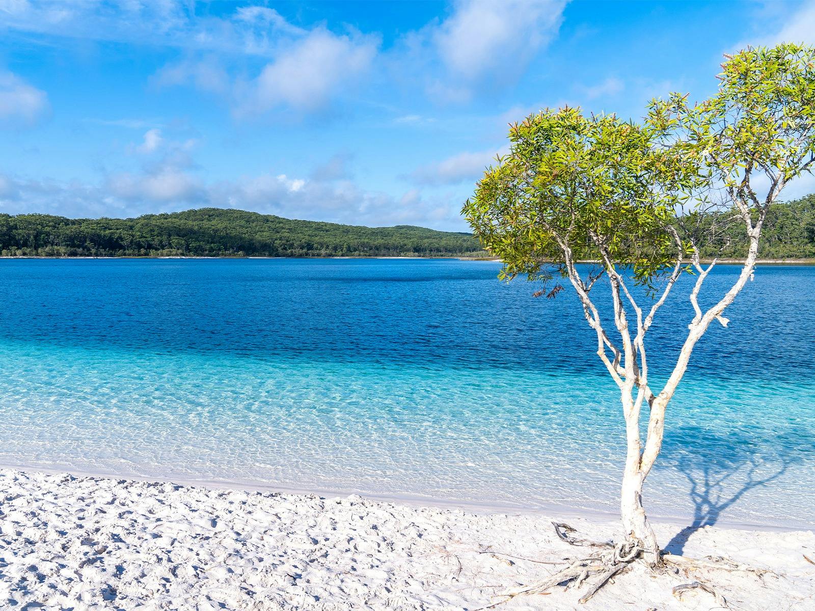 Lake McKenzie