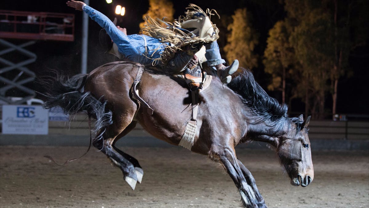 North Queensland Elite Rodeo | Events | Queensland
