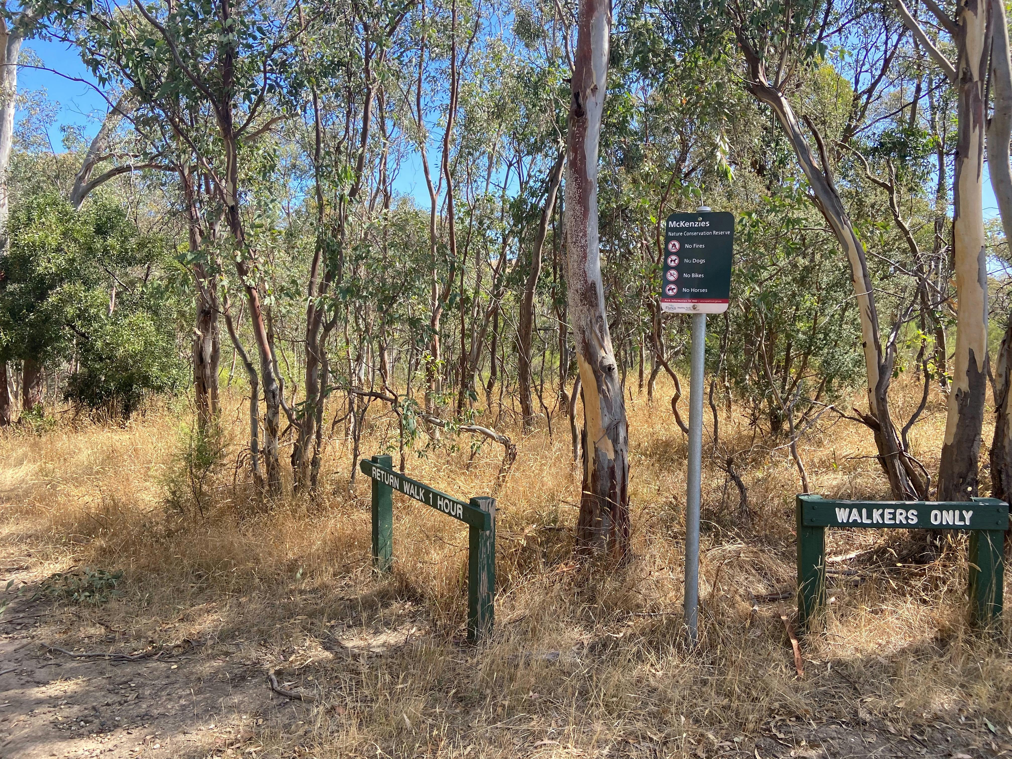McKenzie Flora Reserve