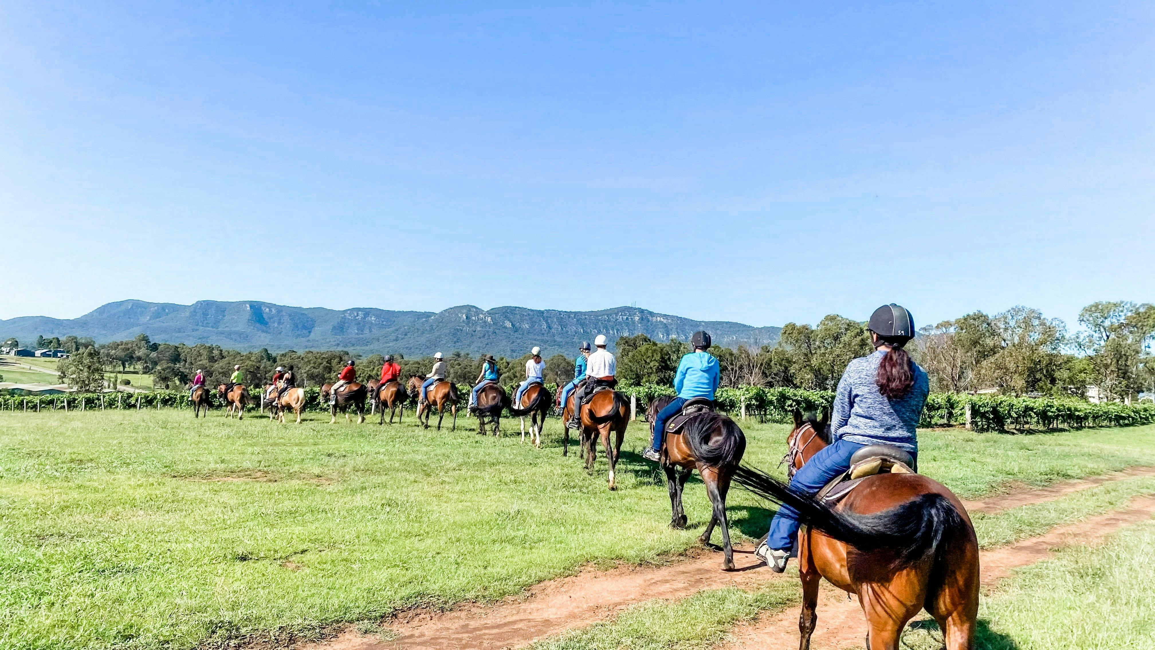 1시간 승마 - 부시랜드 트레일