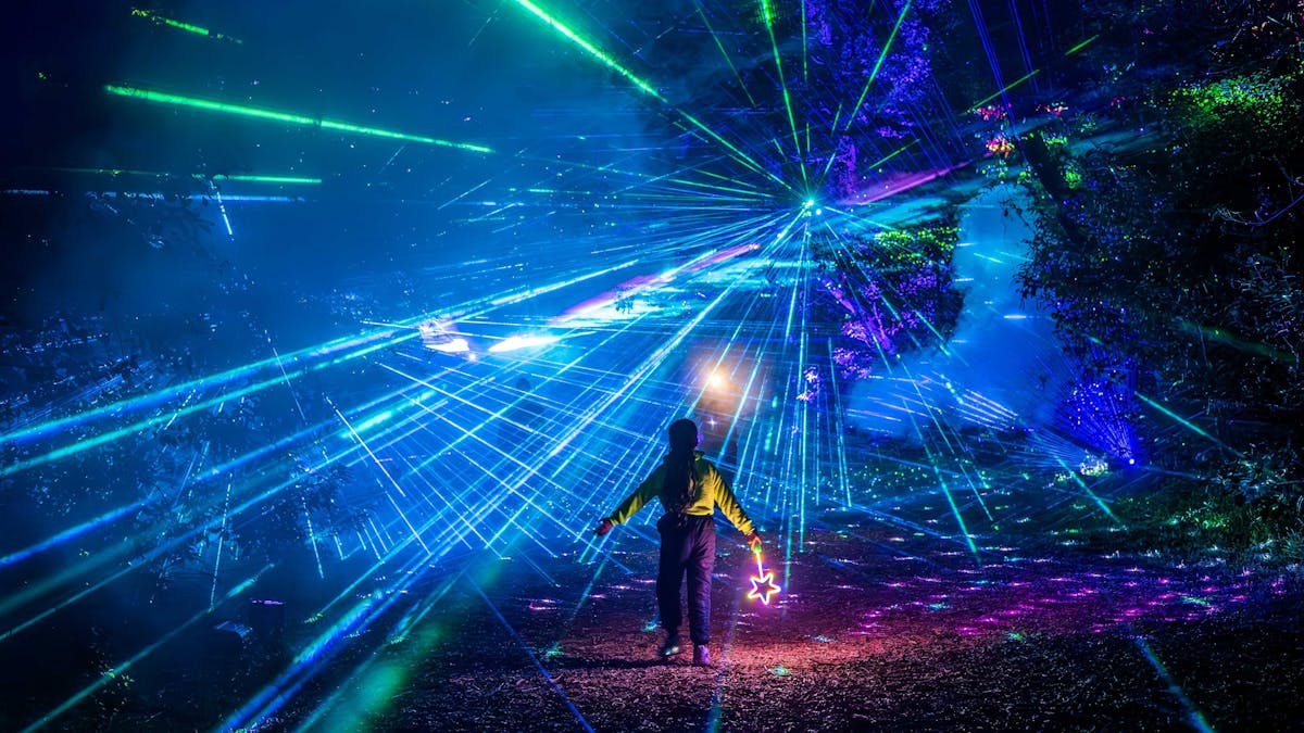 Lasers in the forest