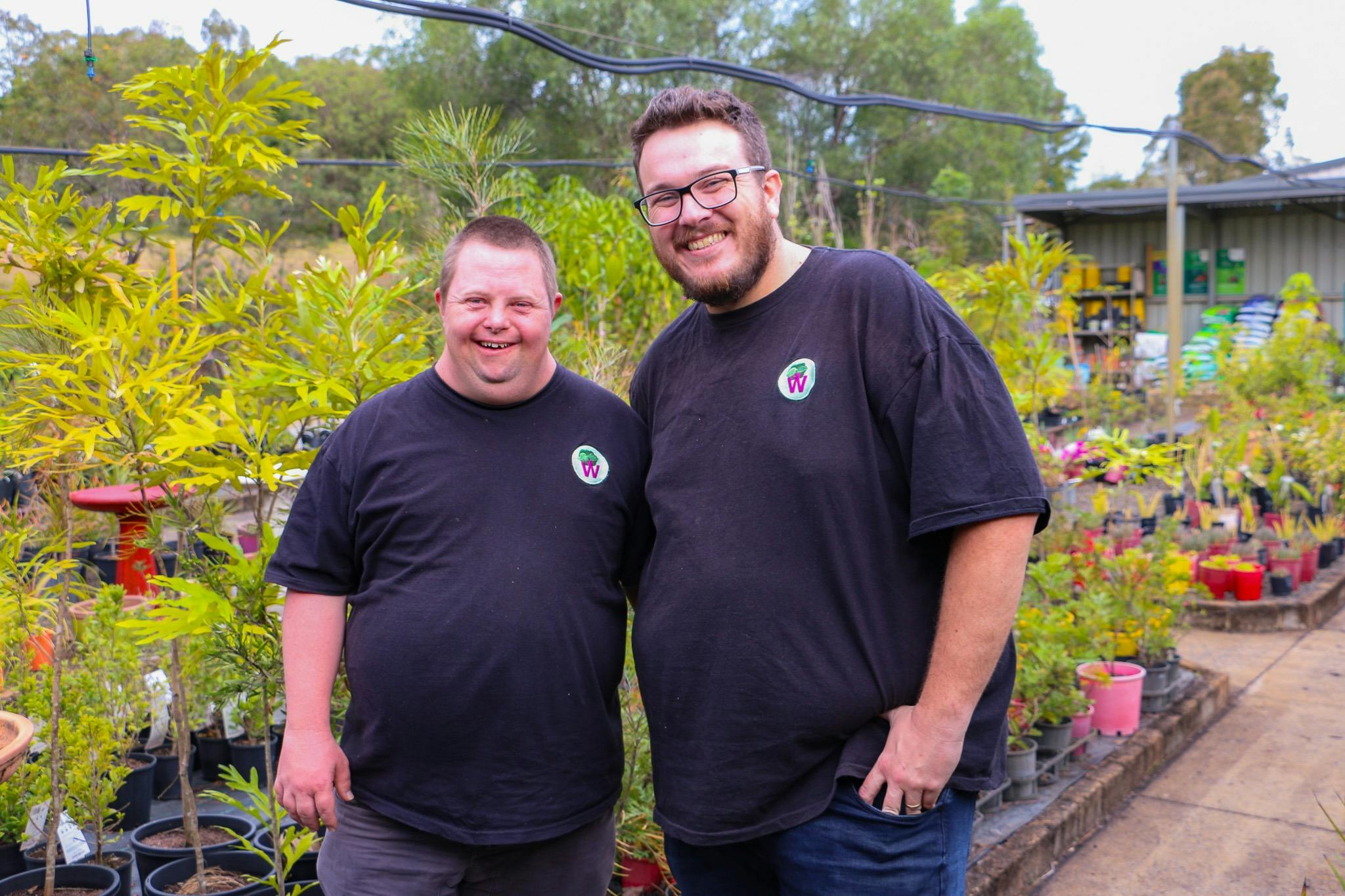 ウィンダラ カジノ