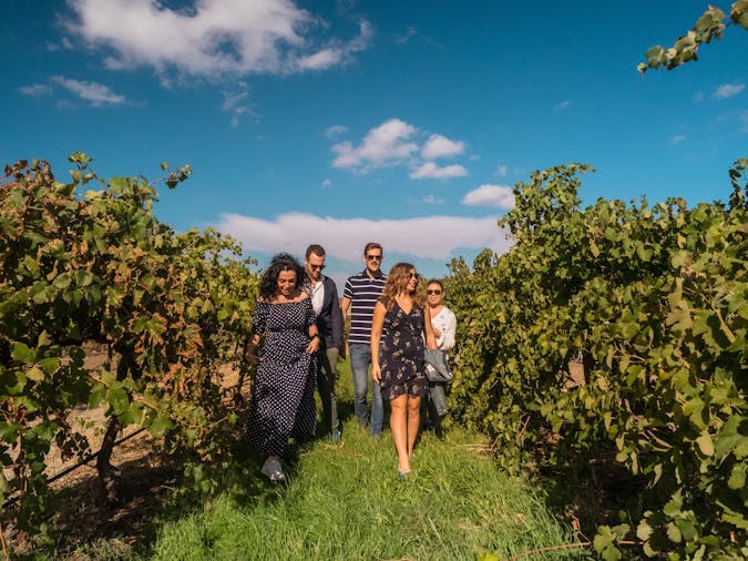 McLaren Vale Shared Wine Tour