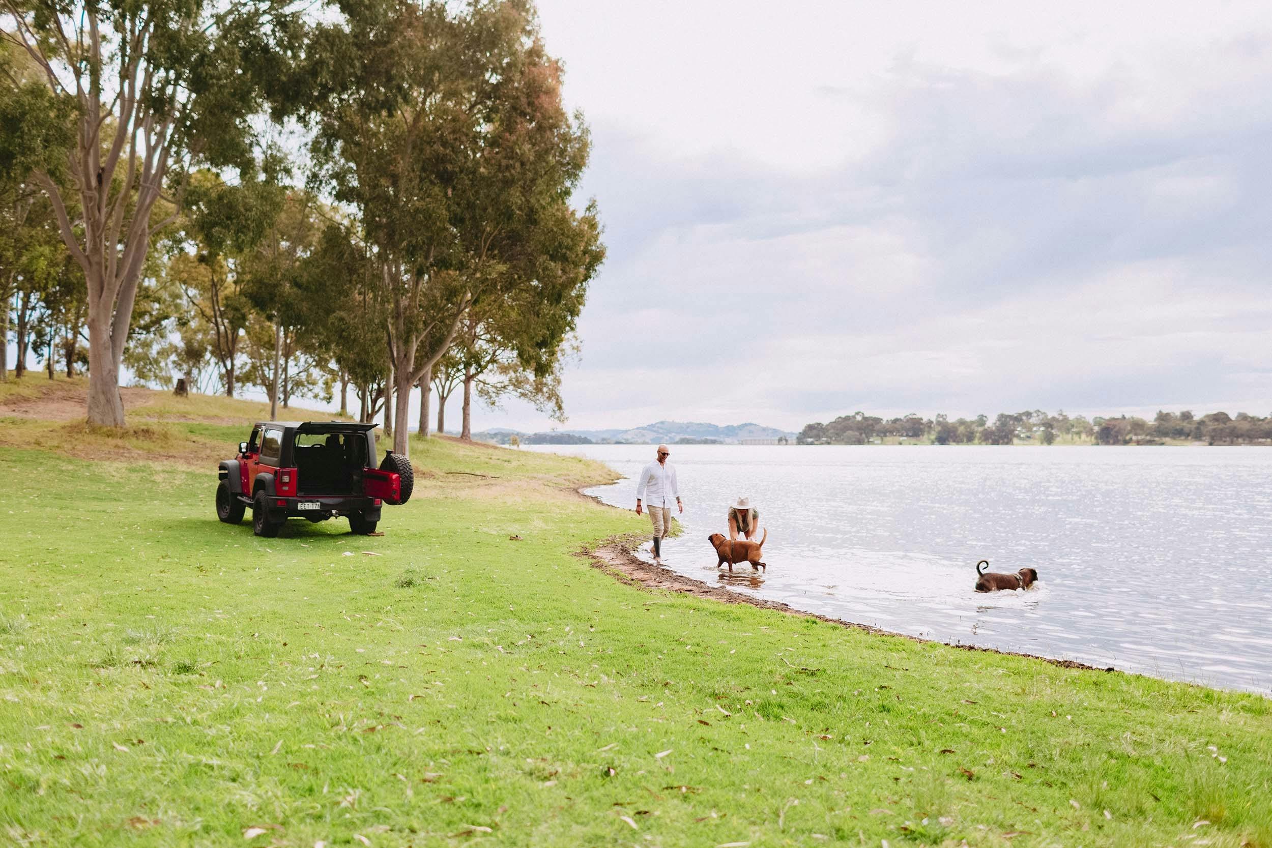 Couple playing with dogs in the water at Lake Hume
